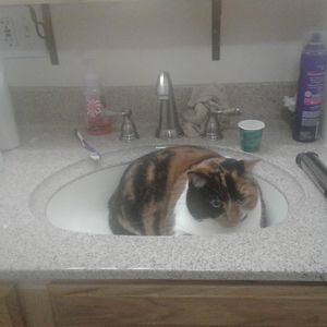 Meet your Posher, Christy